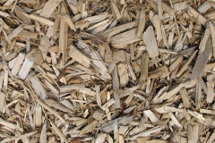 biomass boilers Polkerris
